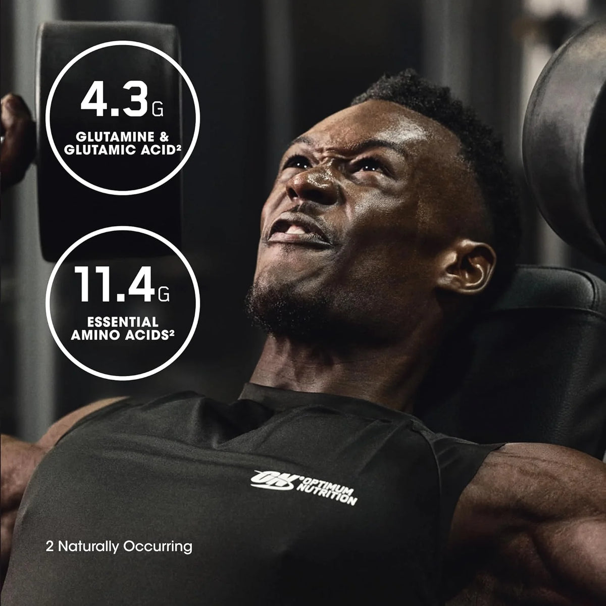 Optimum Nutrition Gold Standard Isolate Protein - Chocolate Bliss