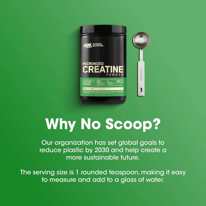 Optimum Nutrition Micronized Creatine Monohydrate